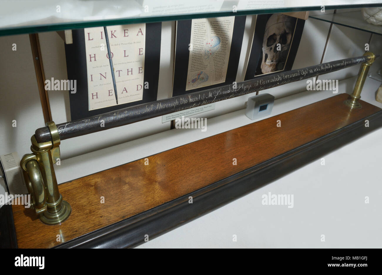 Phineas Gage pilonnage le fer. Cette tige métallique de souffler à travers la tête de Phineas Gage en 1848 et il a survécu. Antécédents médicaux célèbre cas de lésions cérébrales. Banque D'Images