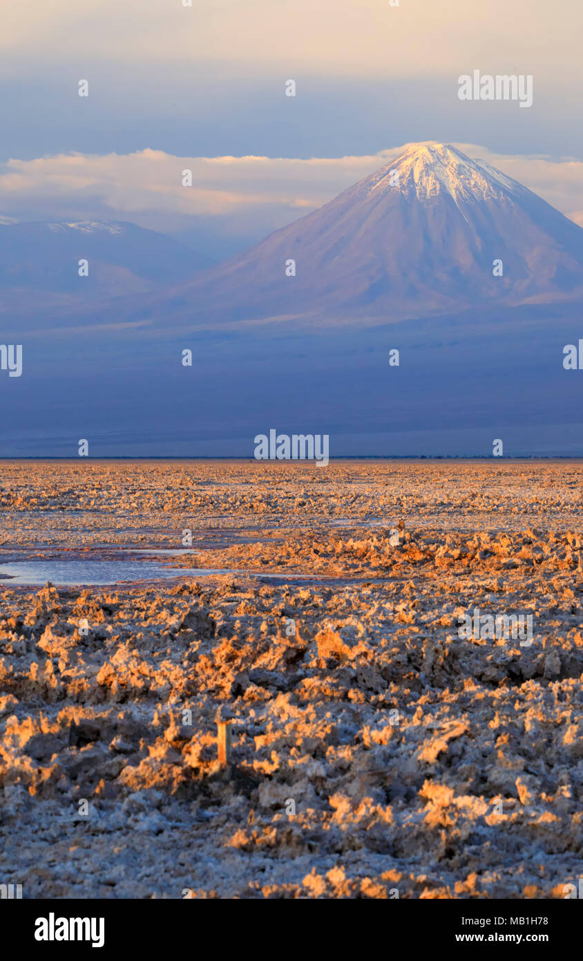 Lagune Chaxa au coucher du soleil, Désert d'Atacama, au Chili. L'évaporation rapide de l'eau sursalée crée des formations de sel qui sont éclairées par le soleil couchant. Banque D'Images