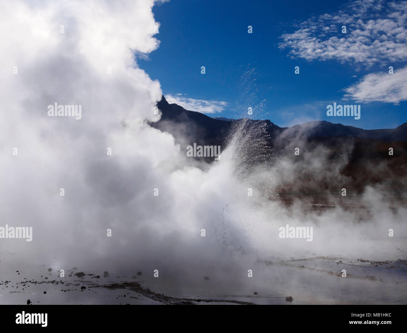 El Tatio Geysers dans les montagnes des Andes, Antofagasta, Chili Banque D'Images