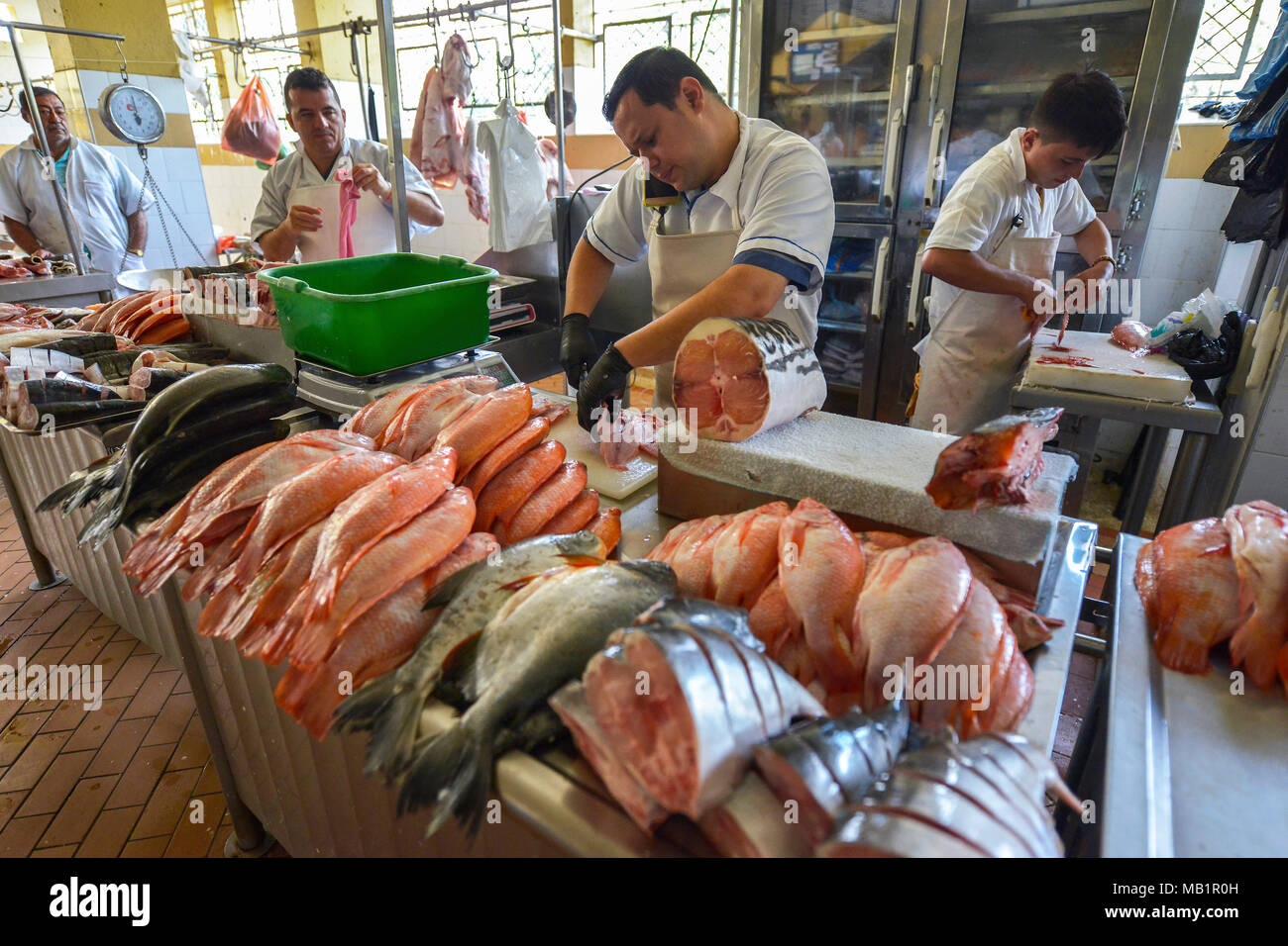 San Gil, Colombie - le 10 août 2017 : Un des hommes non identifiés à la vente du poisson au marché de San Gil à San Gil, Colombie. Banque D'Images