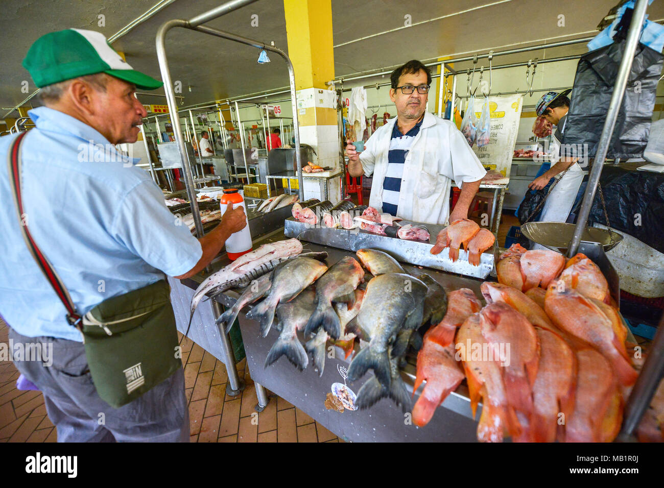 San Gil, Colombie - le 10 août 2017 : Un des hommes non identifiés à la vente du poisson au marché de San Gil à San Gil, Colombie. Banque D'Images