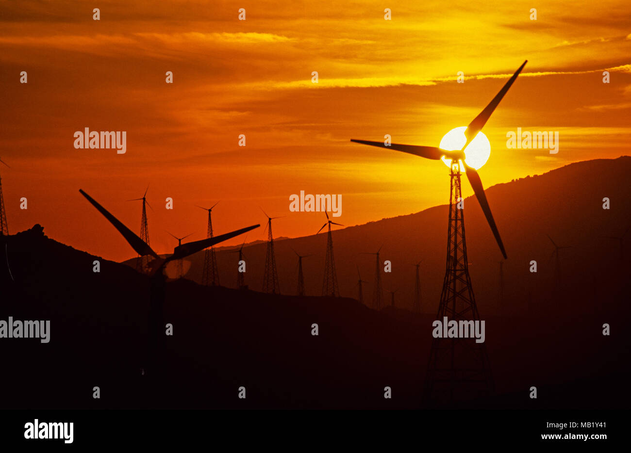 Parc d'éoliennes au coucher du soleil, Tarifa, Cadix, Andalousie, Espagne. Europe Banque D'Images
