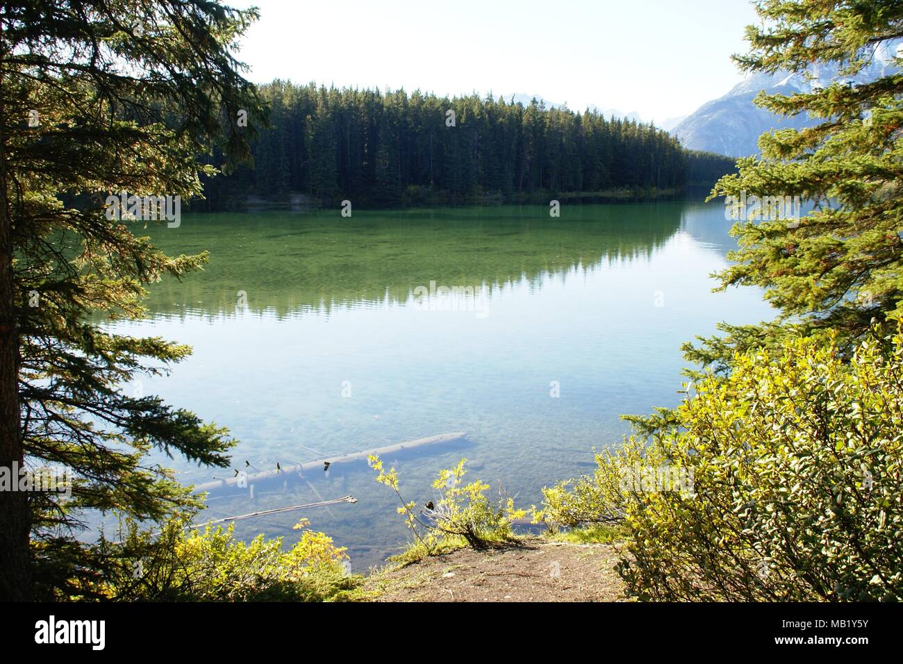 Prise pendant les vacances dans les paysages des parcs nationaux du Canada Banque D'Images