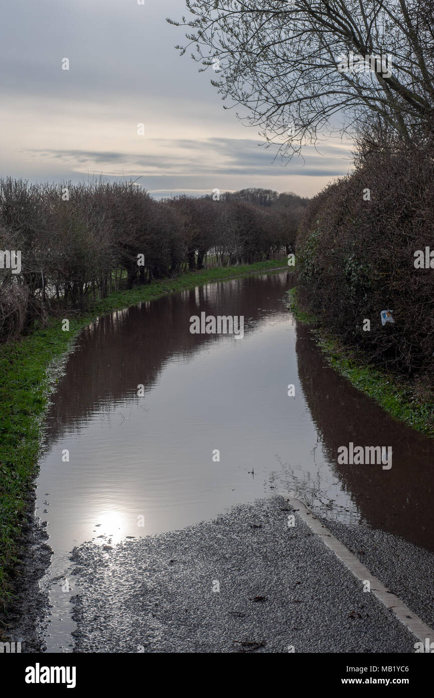 Chemin Rural mouillée et fermé par l'inondation du printemps de la rivière Severn à Atcham dans Shropshire Banque D'Images