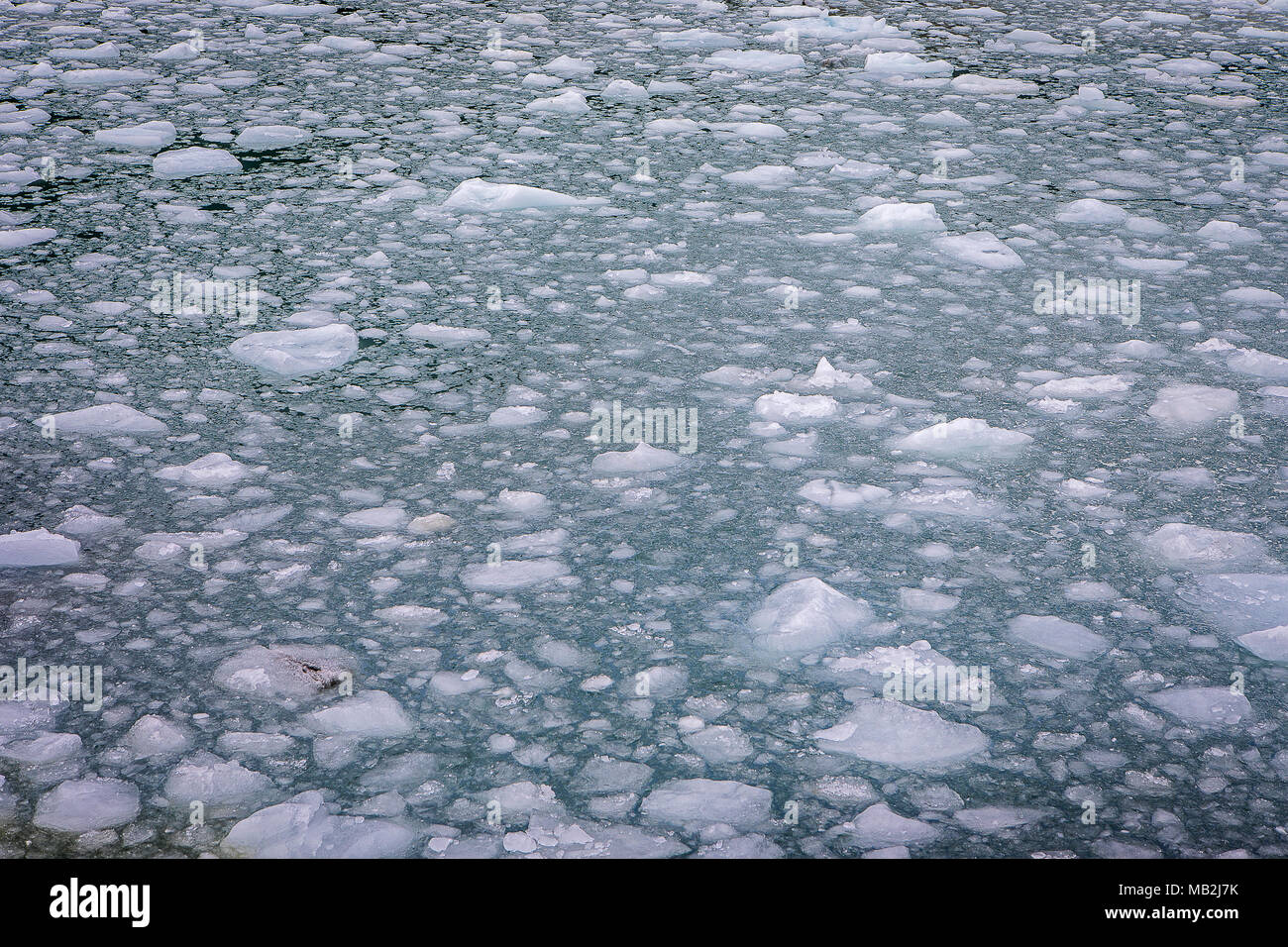 Morceaux de glace détachés du Glacier Pía, fjord Pía, dans le canal de Beagle (nord-ouest), PN Alberto de Agostini, la Terre de Feu, Patagonie, Chili Banque D'Images