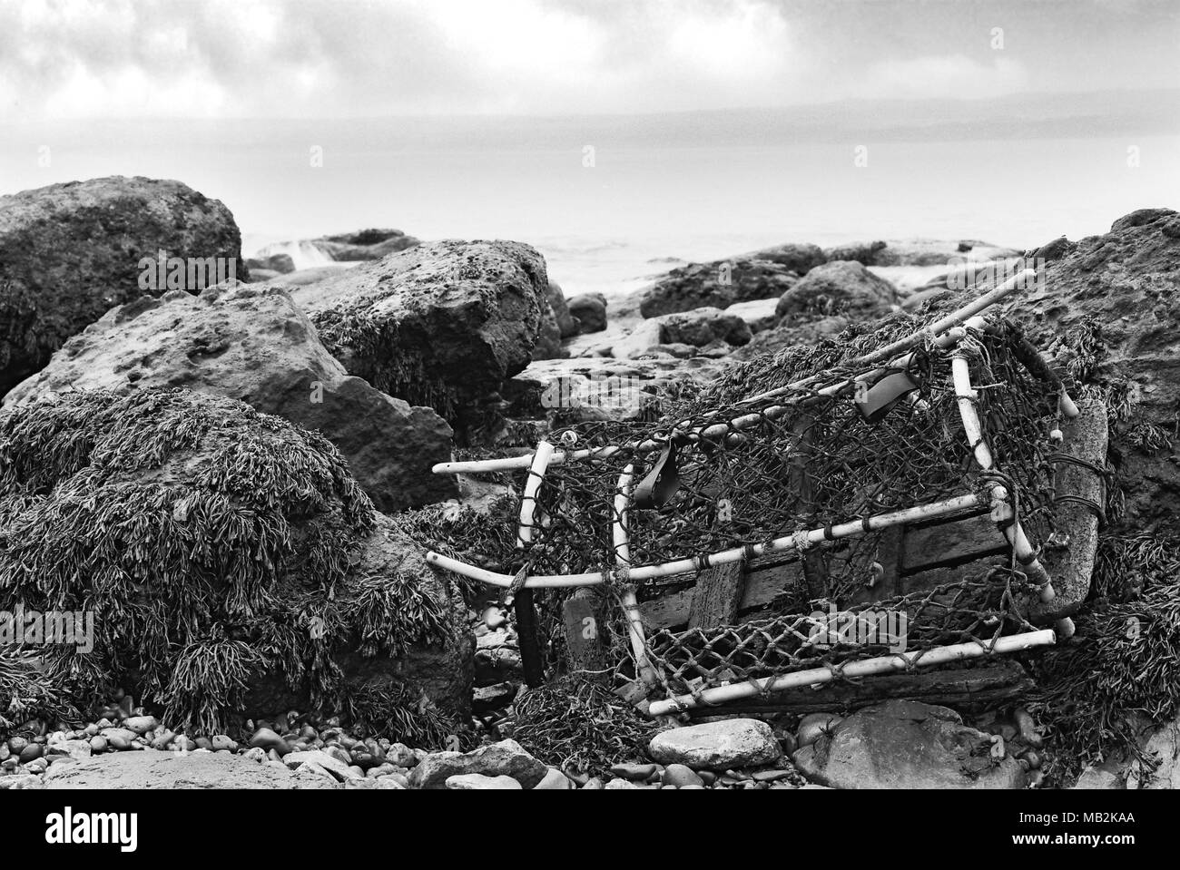 Lobster Pot Banque D'Images