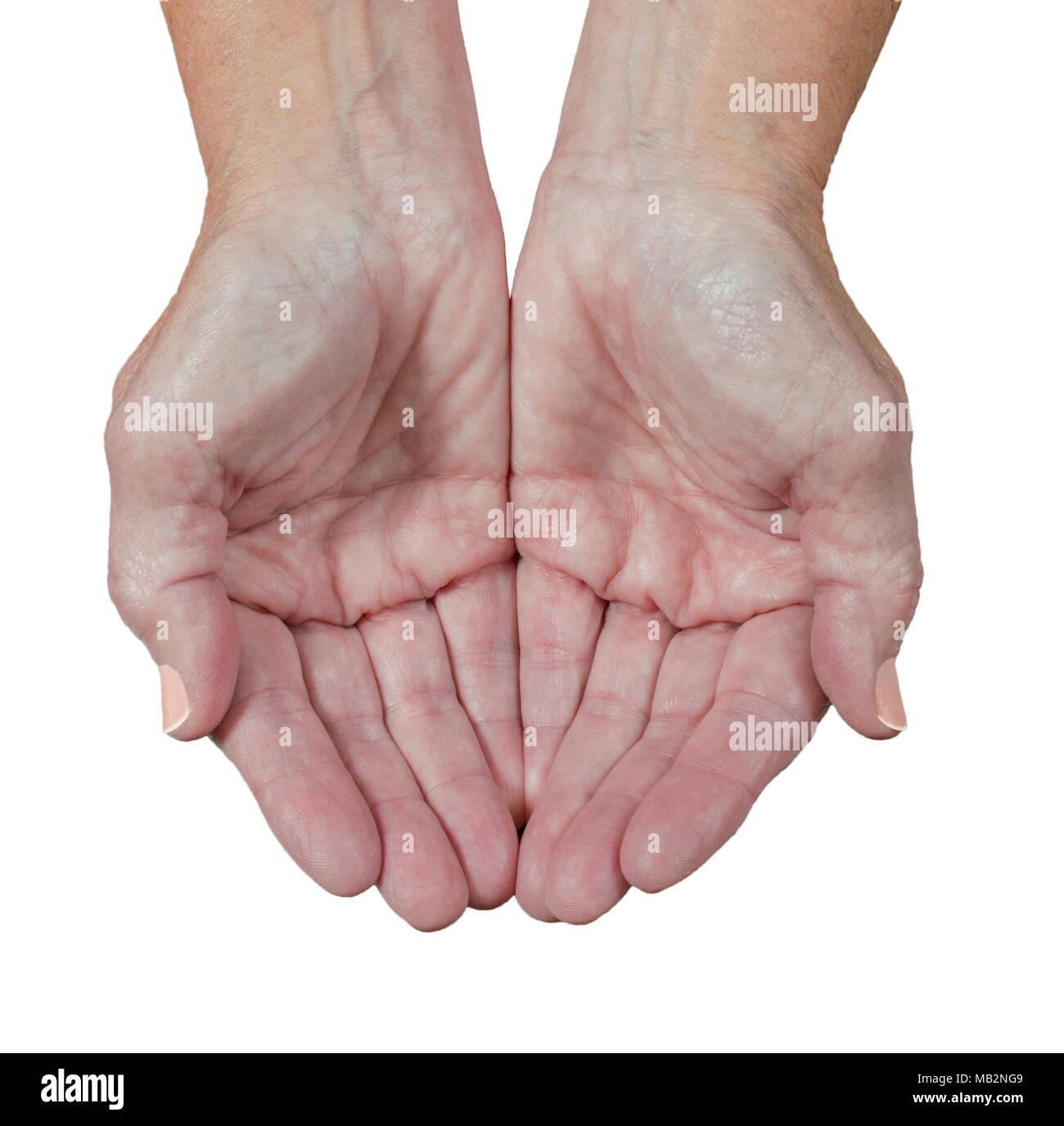 Gros plan d'une femme plus âgée's hands cupped comme si pour attraper de recevoir quelque chose. Arrière-plan blanc. Banque D'Images