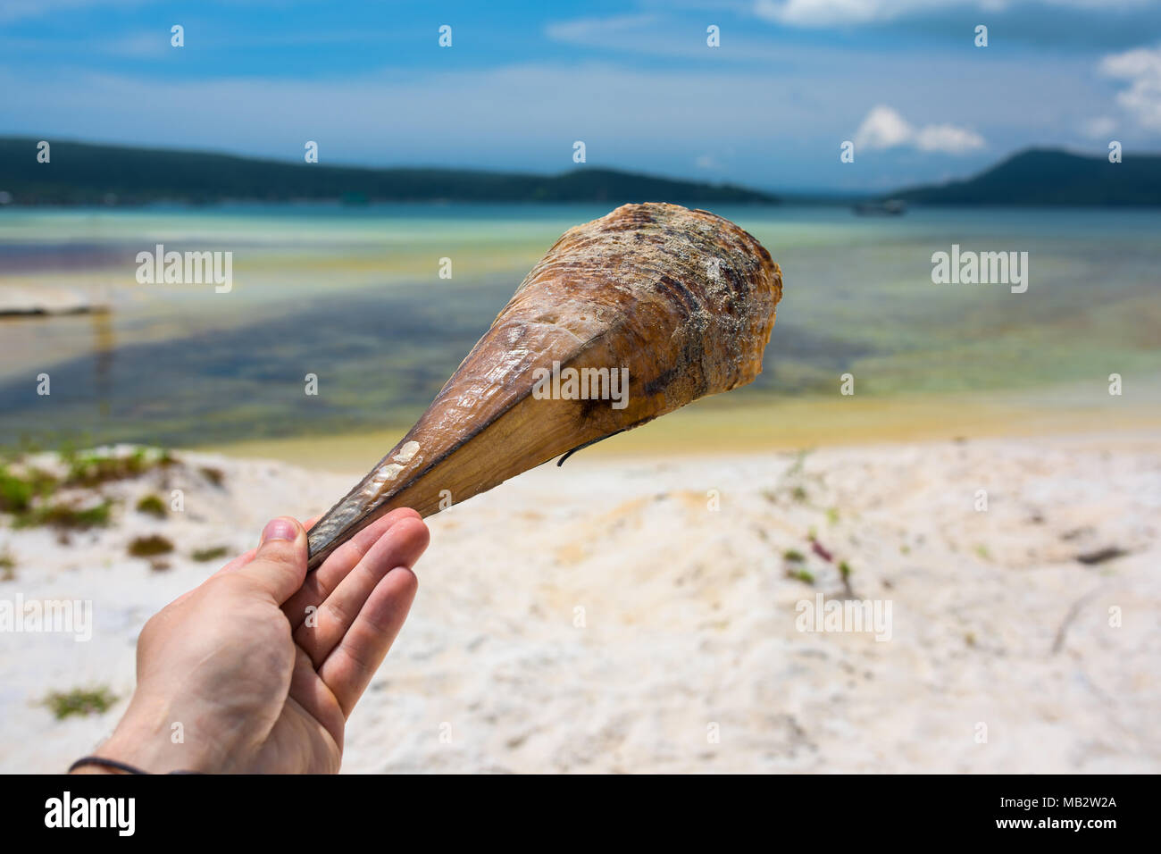 La main de l'homme avec un grand morceau de coquille. Paysage tropical de l'île de Koh Rong Samloem en arrière-plan. Le Cambodge, en Asie. Banque D'Images