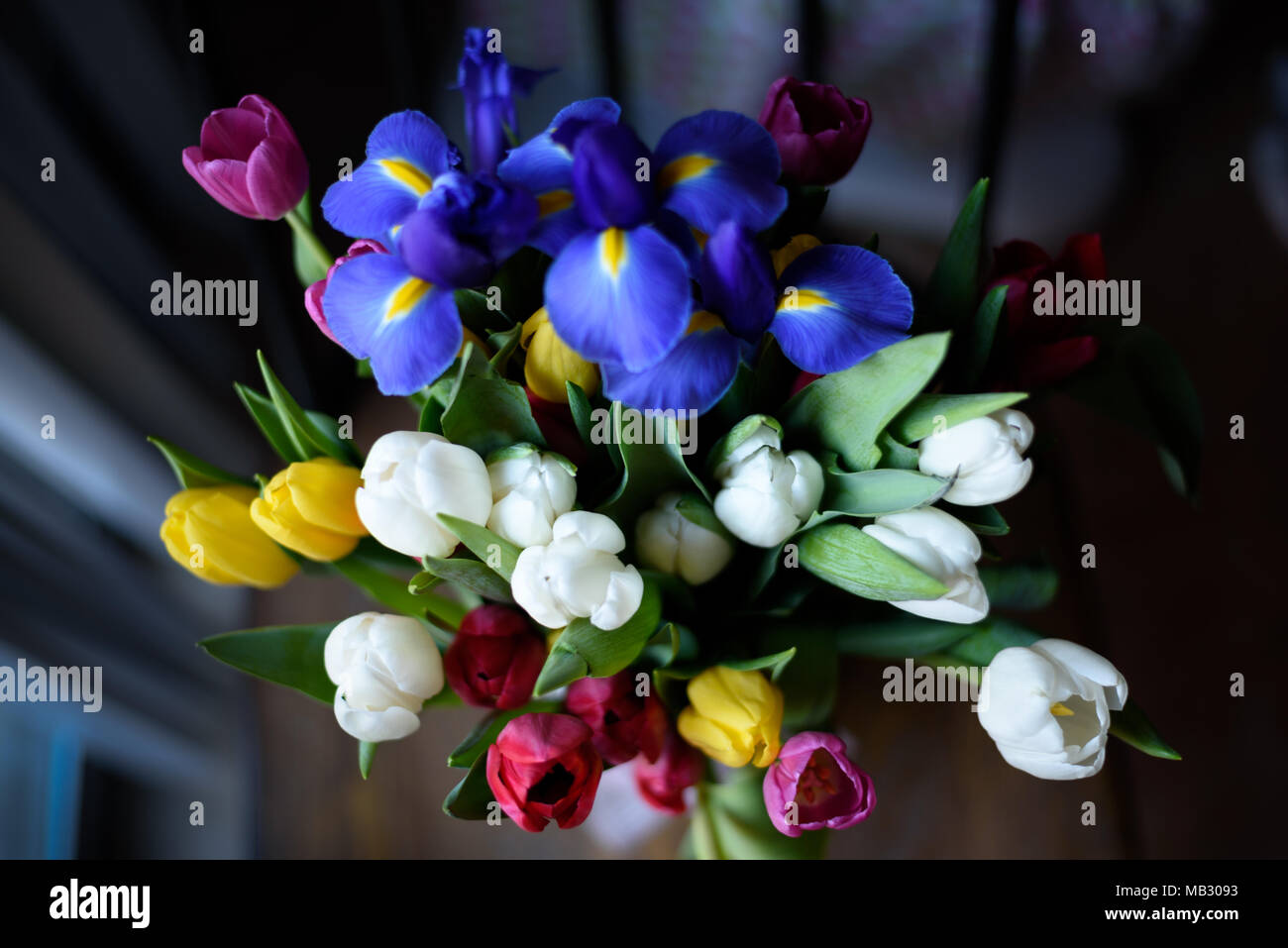 Bouquet de tulipes Banque D'Images