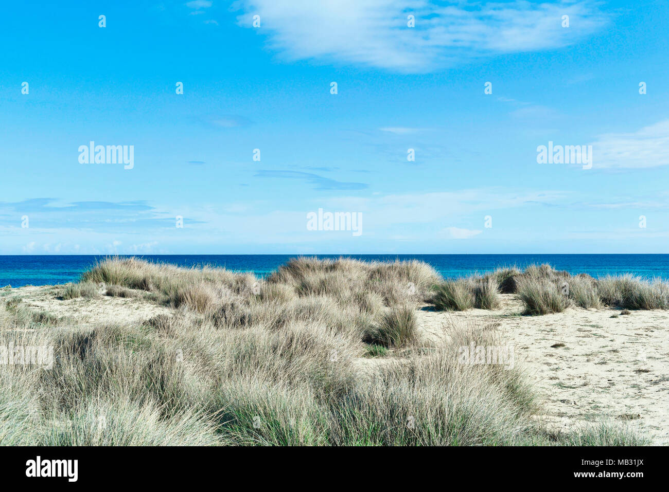 Fond plage bleu avec la mer, de la plage des dunes et de l'herbe. Scène de mer de sable blanc et de copier l'espace. Vacances d'été. Banque D'Images