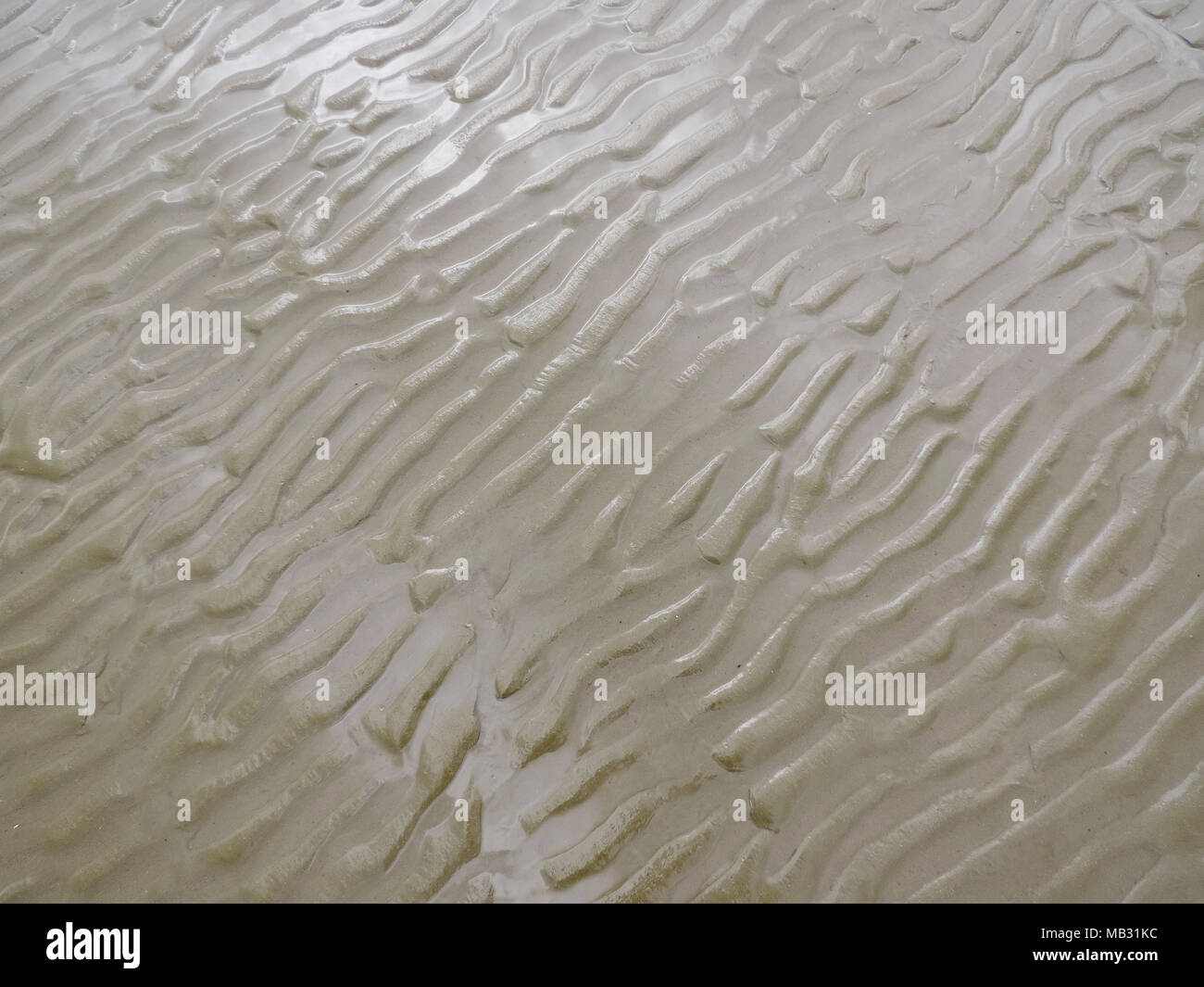Marée basse arrière-plan ou la texture du sable, vue de dessus ou high angle shot. Banque D'Images