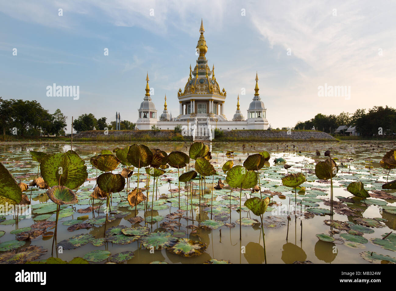Étang avec Lotus (Nelumbo) en face de Maha Rattana Chedi de Wat Thung Setthi, Khon Kaen, Isan, Thaïlande Banque D'Images