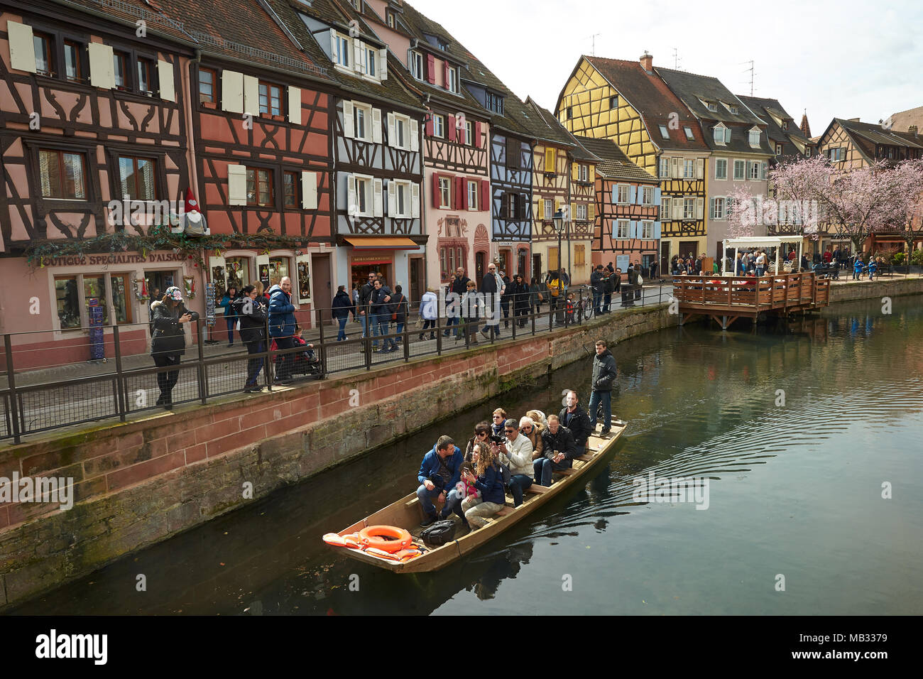 Bateau de tourisme et des maisons à colombages sur le canal de la vieille ville, la Petite Venise, Colmar, Alsace, France Banque D'Images