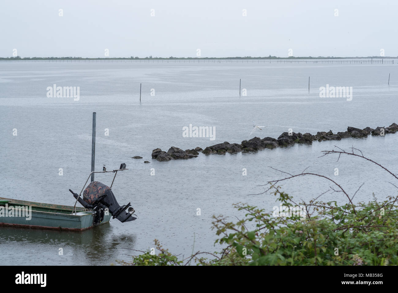 Billet sur delta del Po River country Banque D'Images