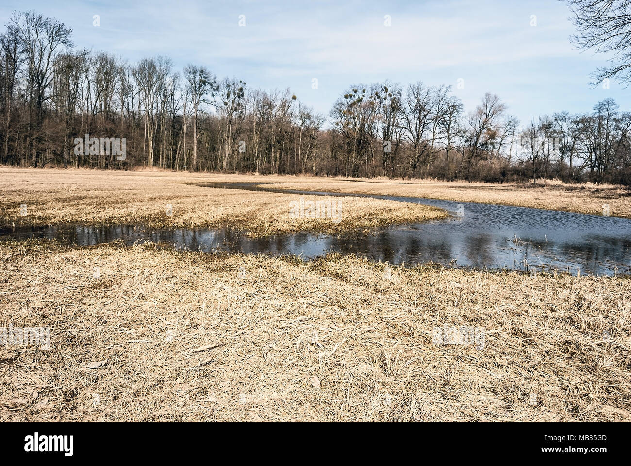 Spring Meadow Creek et saisonniers sinueux avec des arbres sur le fond près de Petrvaldik Poodri dans CHKO en République Tchèque Banque D'Images