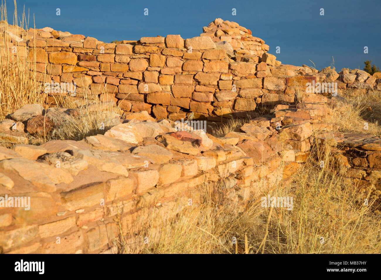 Lowry Pueblo, Canyons of the Ancients National Monument, Colorado Banque D'Images
