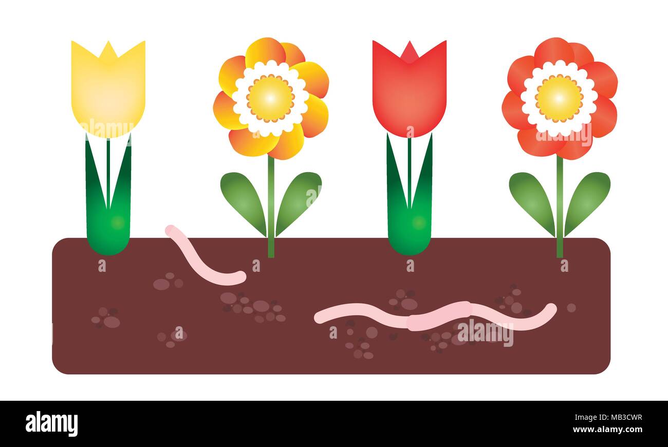 Lit de fleur avec le sol et ver de terre sous la terre - vector, convient qu'une carte pour le jardinage et l'agriculture Illustration de Vecteur Lit de fleur avec le sol et ver de terre sous la terre - vector, convient qu'une carte pour le jardinage et l'agriculture Illustration de Vecteur