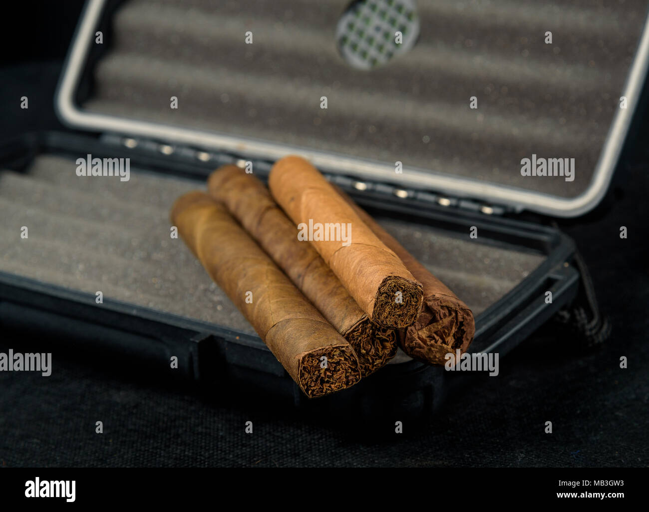 Cigares au-dessus d'un coffret de voyage noir. Odeur riche et textures de feuilles de tabac Banque D'Images