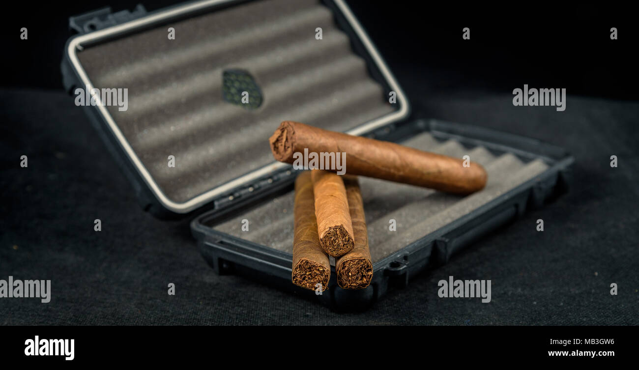 Cigares au-dessus d'un coffret de voyage noir. Odeur riche et textures de feuilles de tabac Banque D'Images