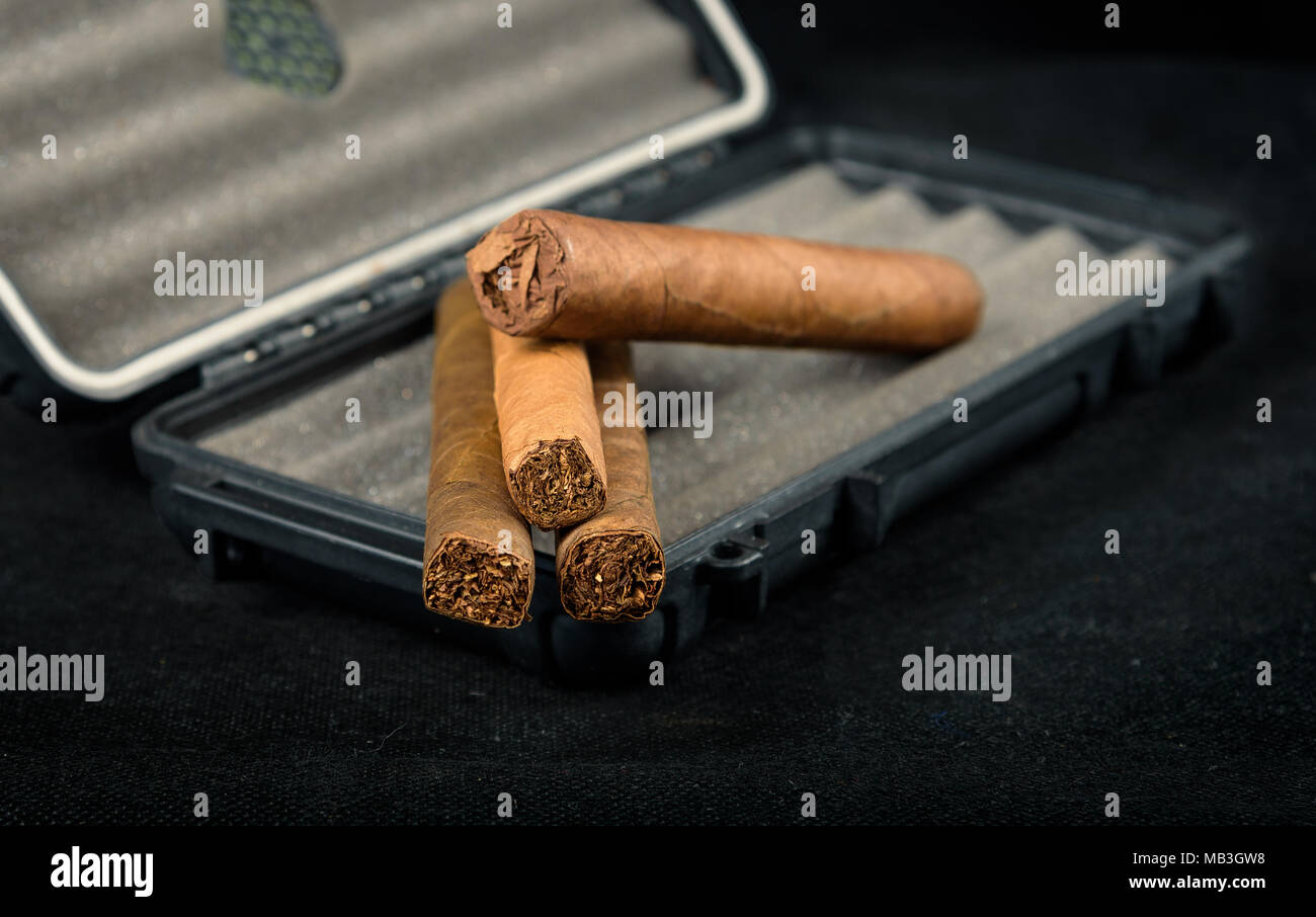 Cigares au-dessus d'un coffret de voyage noir. Odeur riche et textures de feuilles de tabac Banque D'Images