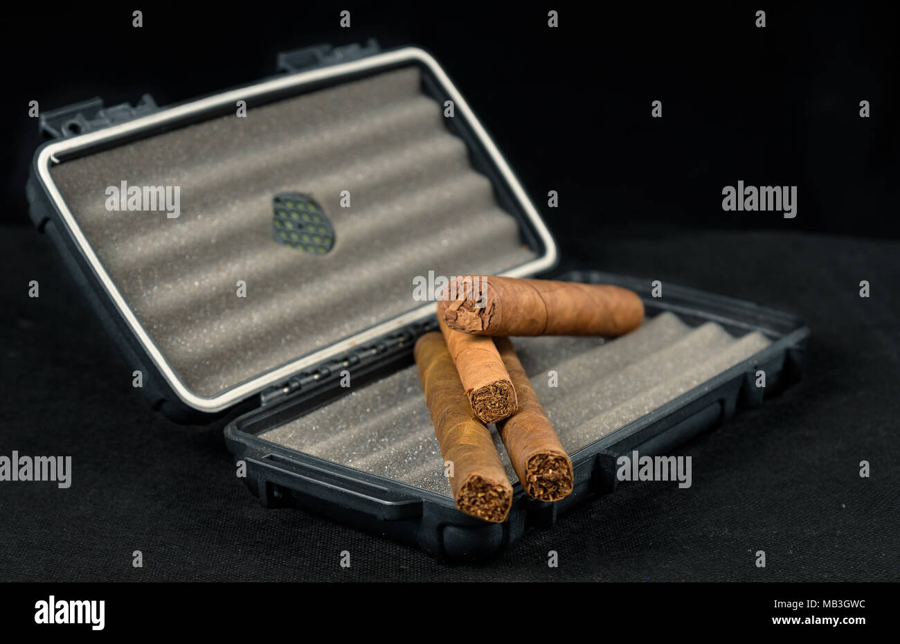 Cigares au-dessus d'un coffret de voyage noir. Odeur riche et textures de feuilles de tabac Banque D'Images