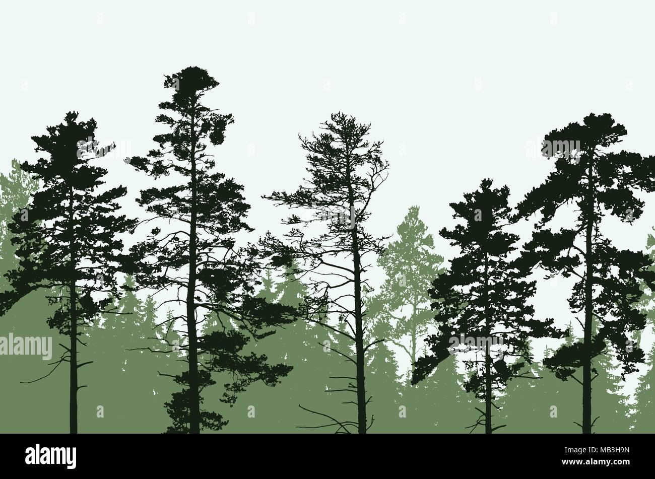Les pics d'arbres de forêt de conifères sous ciel clair - vector Illustration de Vecteur
