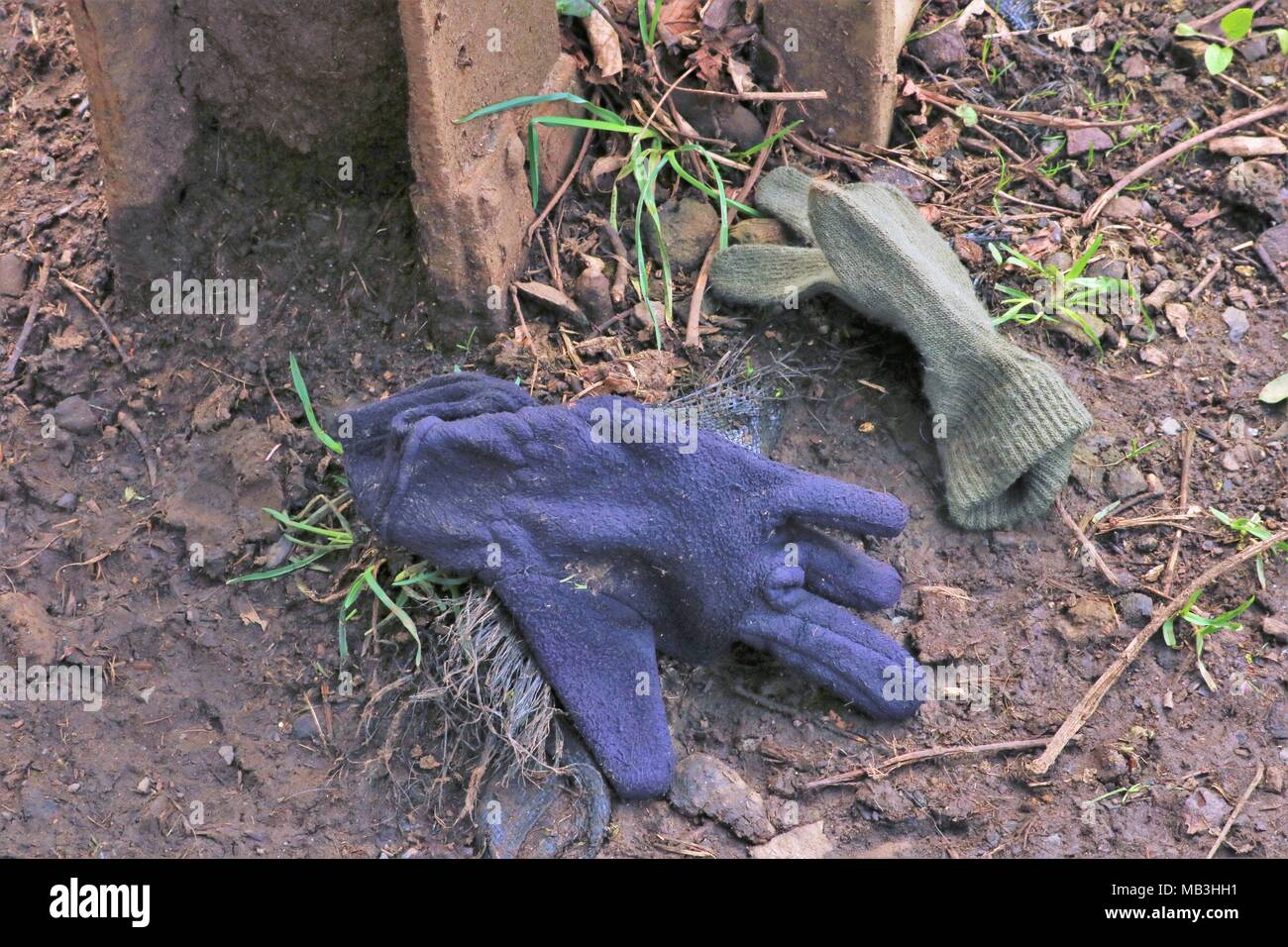 Étrange perdu sur le chemin boueux des gants en parc en hiver Banque D'Images