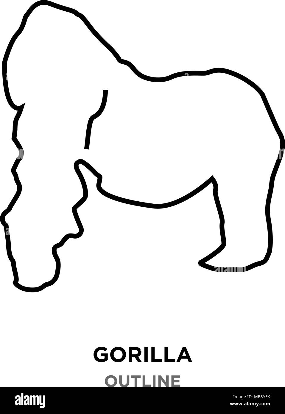 Gorilla aperçu sur fond blanc Illustration de Vecteur