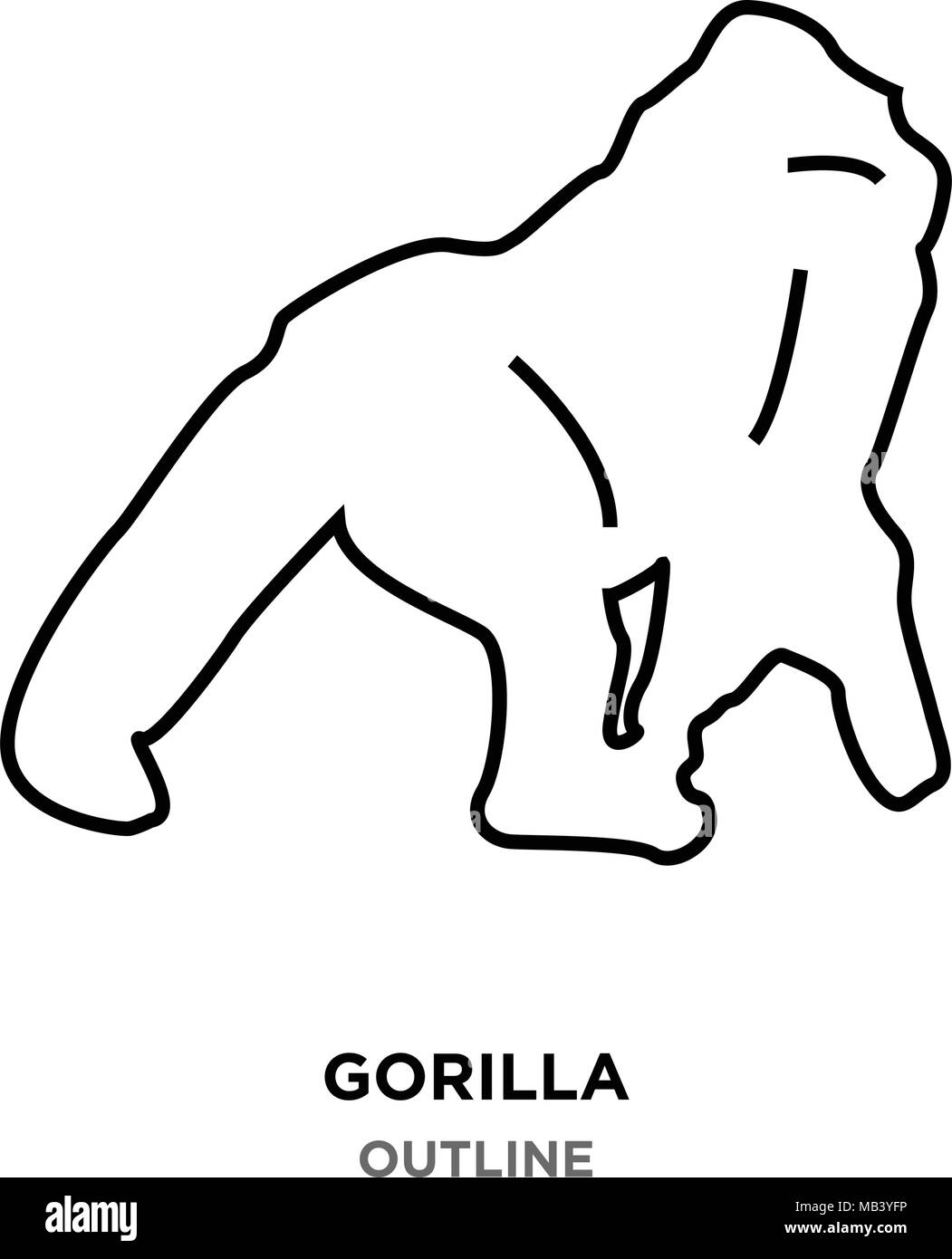 Gorilla aperçu sur fond blanc Illustration de Vecteur