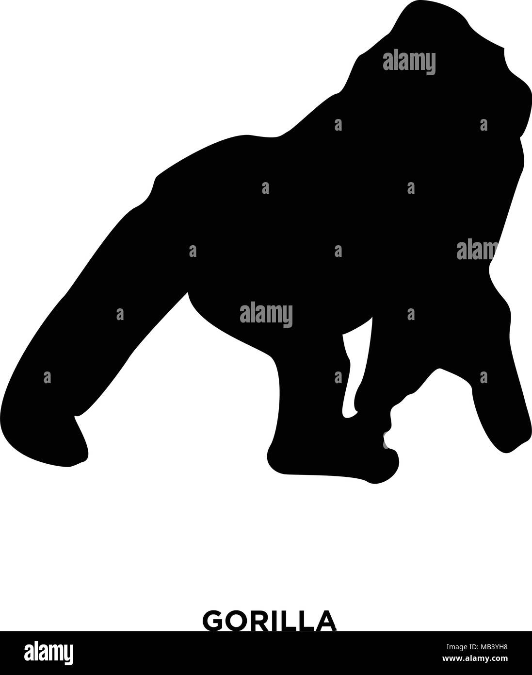 Silhouette de gorille sur fond blanc, en noir Illustration de Vecteur