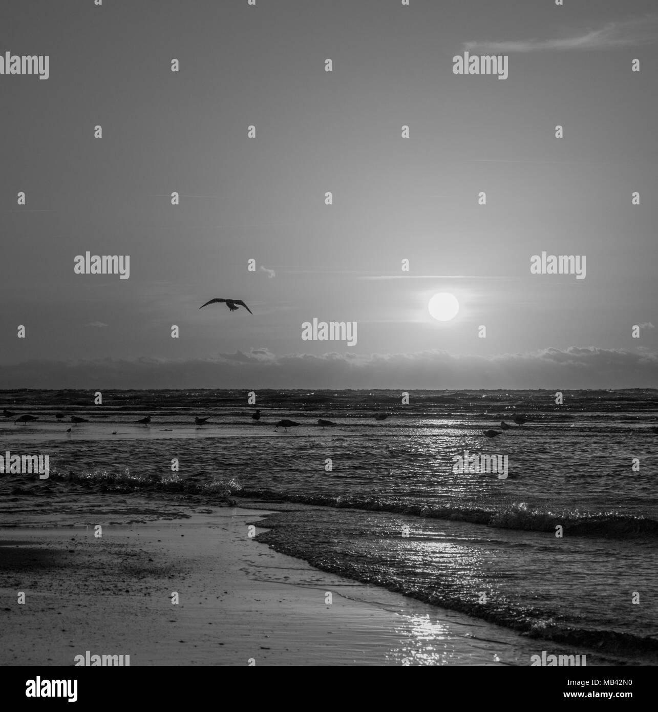 Saluez le matin ou en fin de journée le long de la plage comme le soleil plonge le long de l'horizon. Cet endroit est l'île de Palms juste à l'extérieur de Charleston SC Banque D'Images