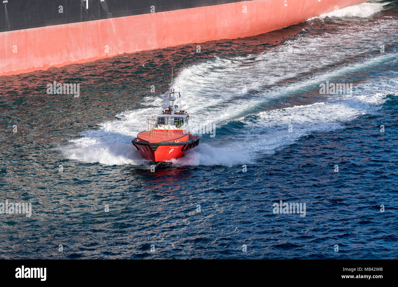 Bateau-pilote rapide à Valence, Espagne Banque D'Images