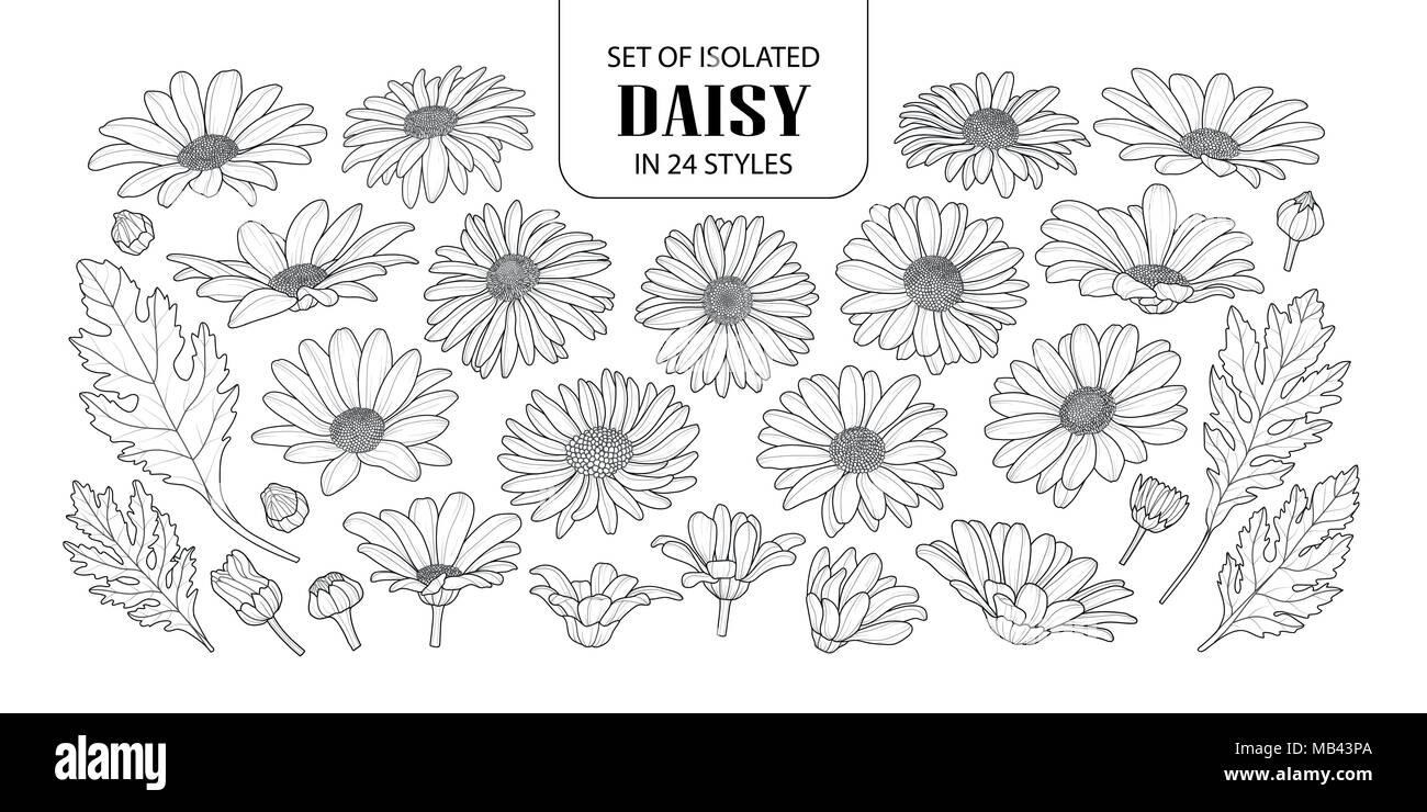 Ensemble de daisy isolés dans 24 styles. Cute hand drawn vector illustration fleurs en contour noir et blanc avion sur fond blanc. Illustration de Vecteur