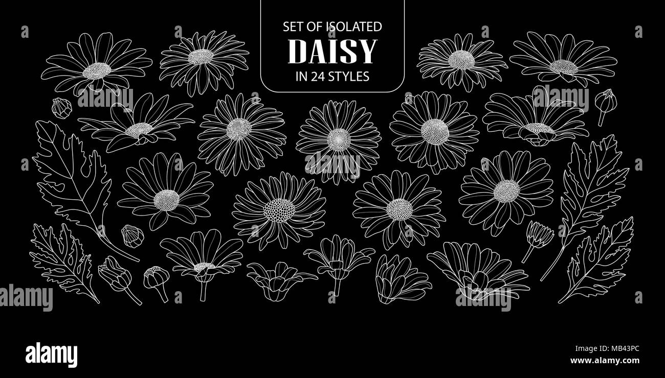 Ensemble de daisy isolés dans 24 styles. Cute hand drawn vector illustration fleurs dans contour blanc sur fond noir. Illustration de Vecteur