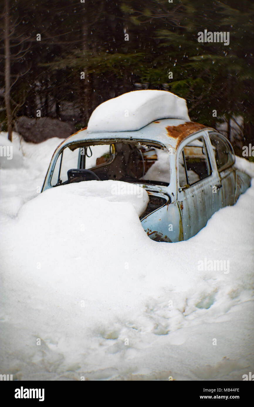 Une Volkswagen Beetle 1960, enfouie dans la neige, dans une zone boisée, à Noxon, Montana. Cette image a été prise avec un ancien objectif Petzval et montrera si Banque D'Images