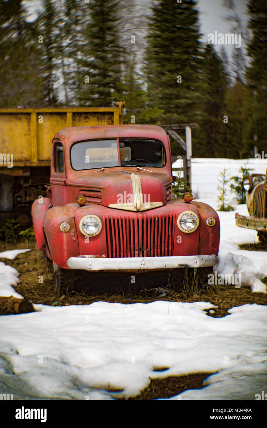 L'avant d'une camionnette Ford 1942 stepside, dans une zone boisée, à Noxon, Montana. Cette image a été prise avec un ancien objectif Petzval et sh Banque D'Images