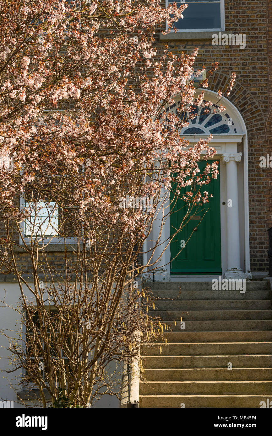 Georgian House Dublin Banque D'Images