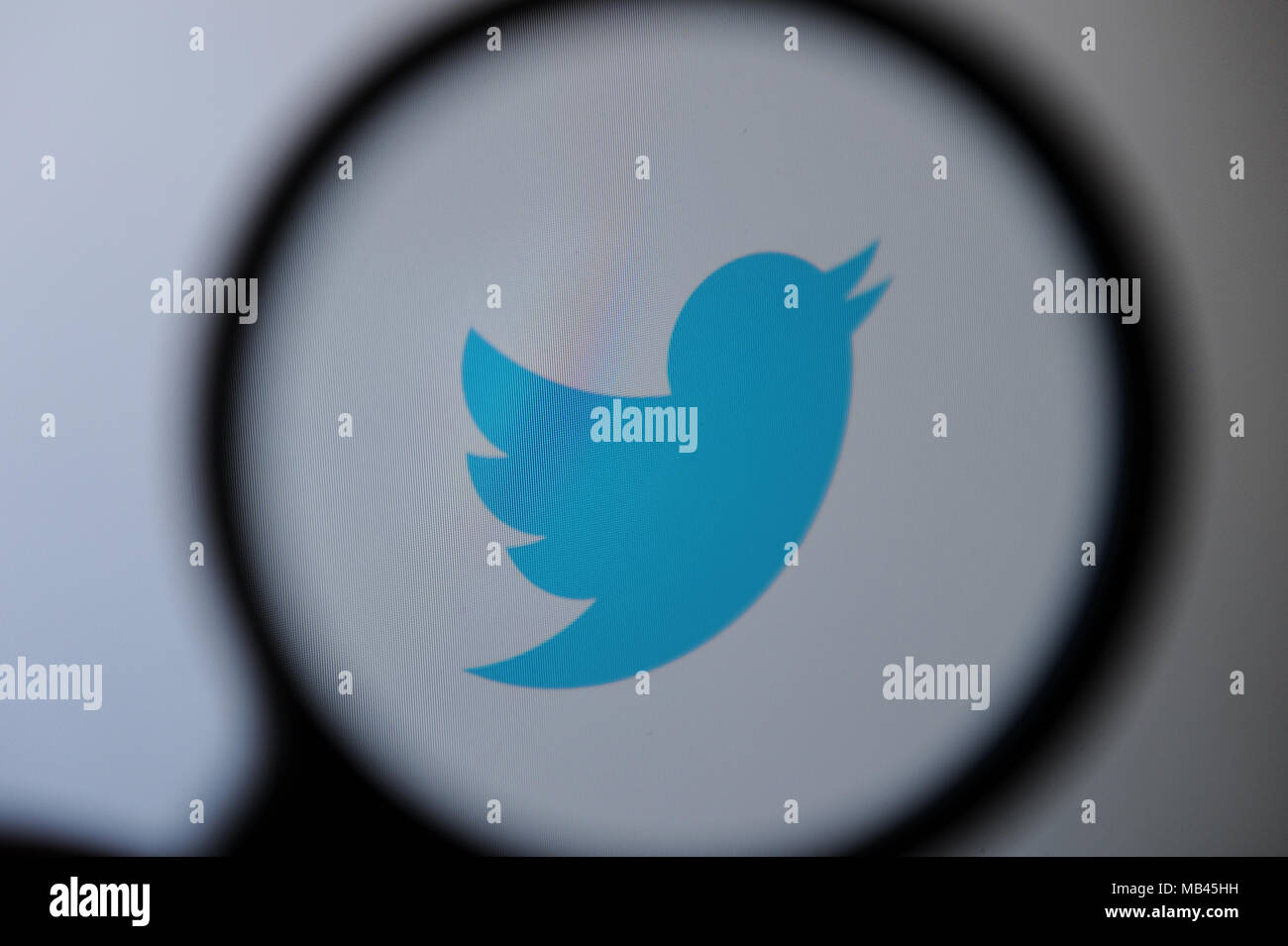 Le logo Twitter vu à travers une loupe Banque D'Images