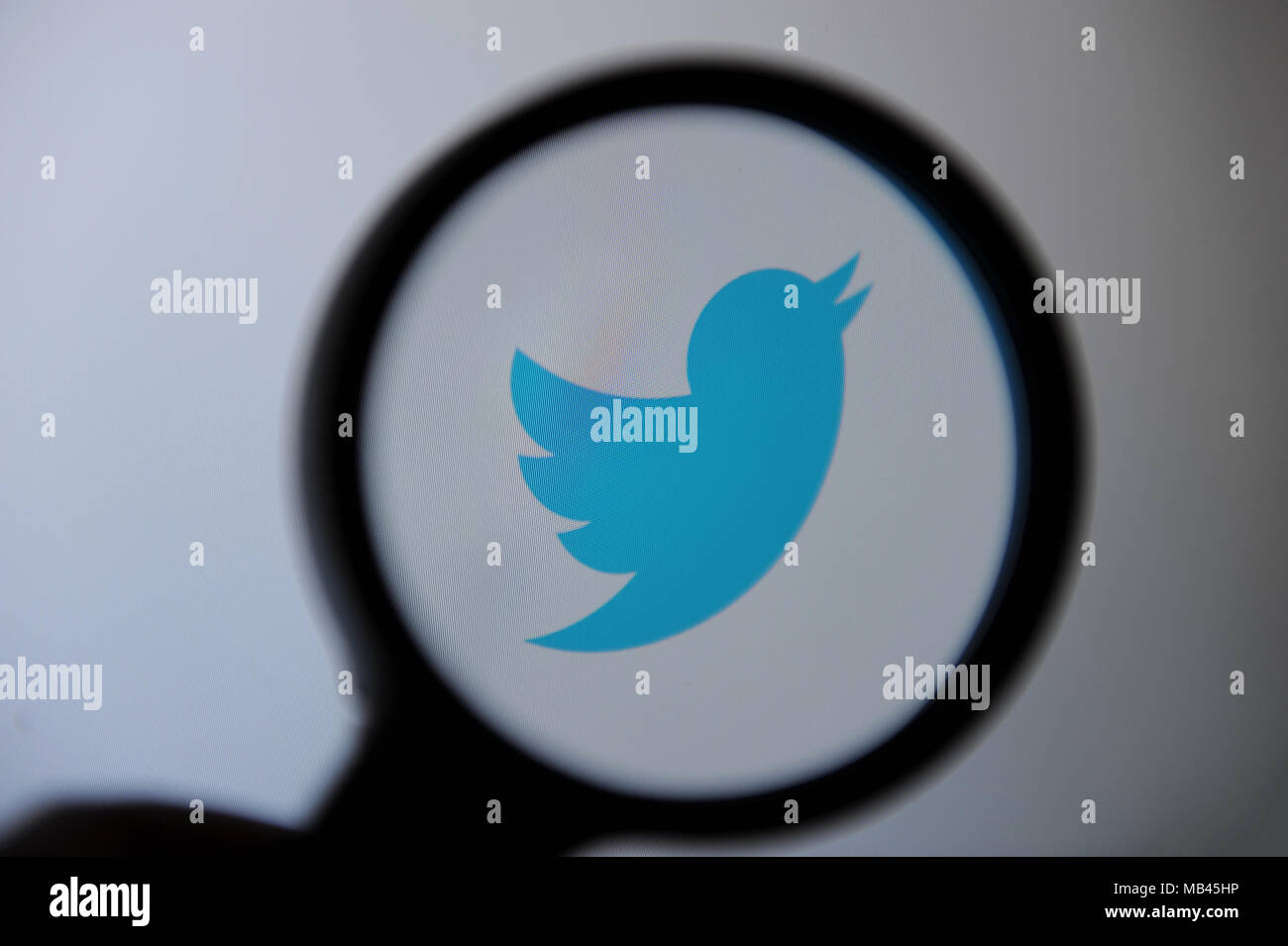 Le logo Twitter vu à travers une loupe Banque D'Images