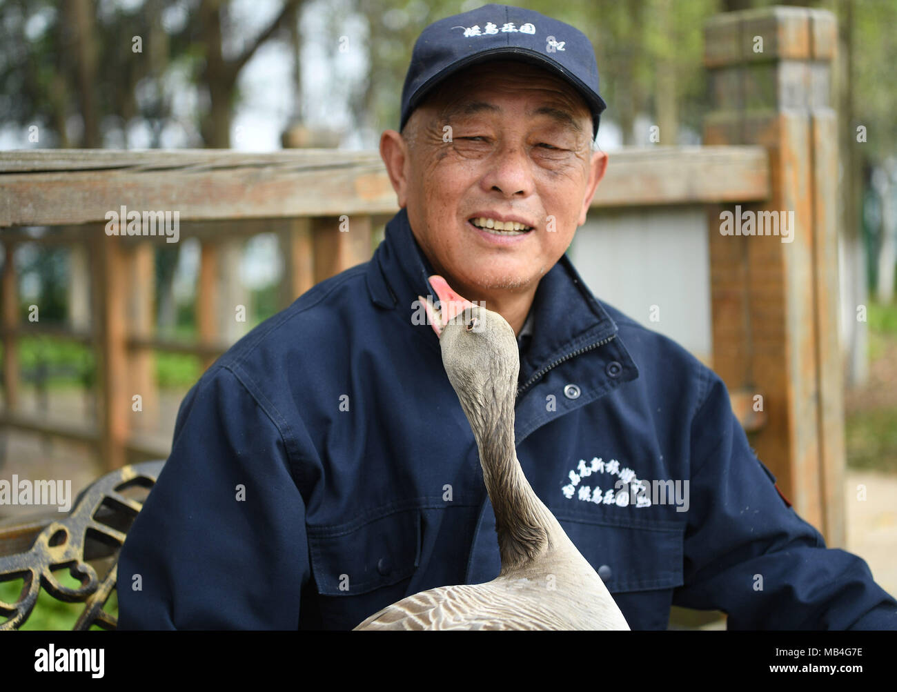 Nanchang, province de Jiangxi en Chine. 30Th Mar, 2018. M. Il joue avec "l'oie sauvage Huihui' dans des zones humides du lac Aixi Park dans la ville de Nanchang, capitale de la province de l'est de la Chine, le 30 mars 2018. M. Il s'agit d'un travail personnel qui nourrit les oiseaux au lac Aixi Wetland Park. L'un des oiseaux, "l'oie sauvage Huihui', nommé par lui, il suit toujours. Un jour 'l'oie sauvage Huihui' ne pouvait pas trouver M. celui qui a demandé un congé, et s'envola. Heureusement, le jour suivant, 'Huihui' est revenu et a trouvé M. Il a immédiatement. Credit : Wan Xiang/Xinhua/Alamy Live News Banque D'Images