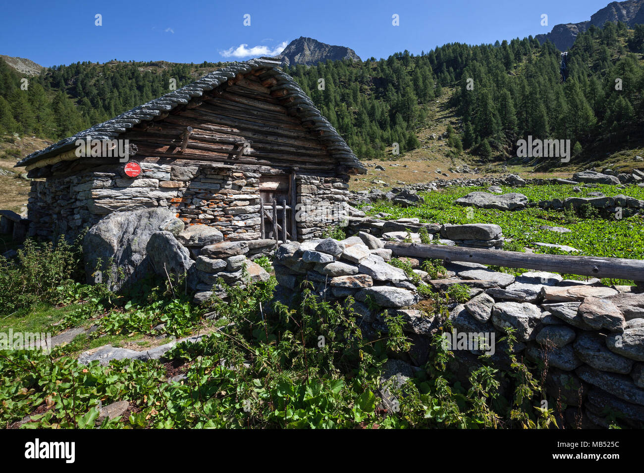 Maison en pierre typique du Tessin sur l'Alpe Corte di Mognola, Fusio, Lavizzara, Canton du Tessin, Suisse Banque D'Images