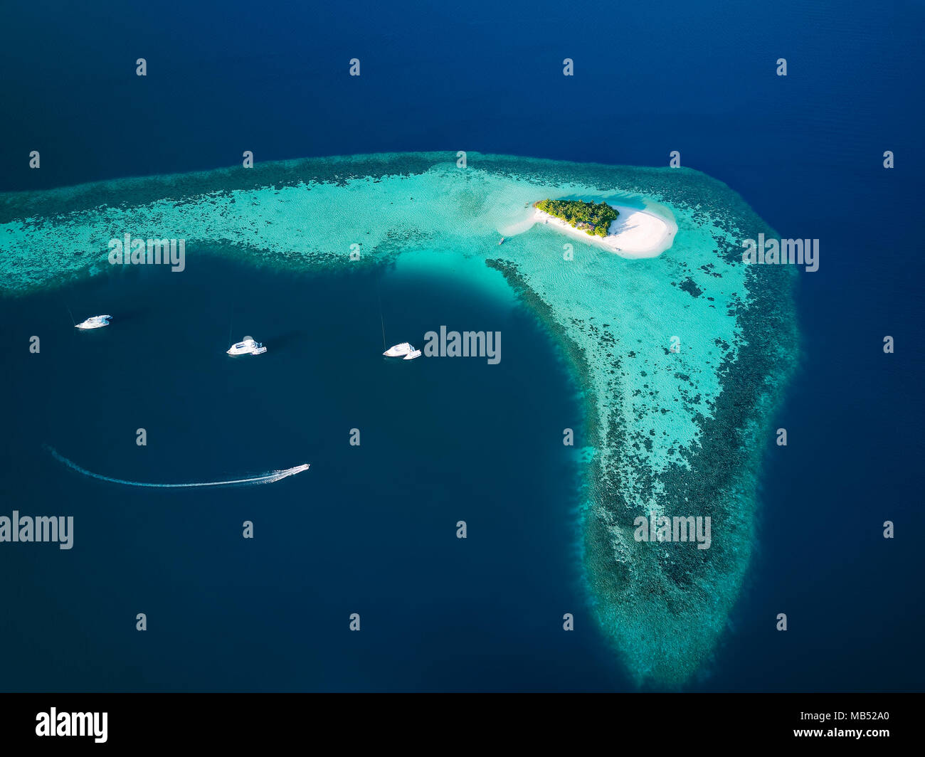 Île inhabitée pour des excursions d'une journée avec des palmiers, buissons, plage de sable tout autour, récif de corail au large, les navires, Ari atoll Banque D'Images
