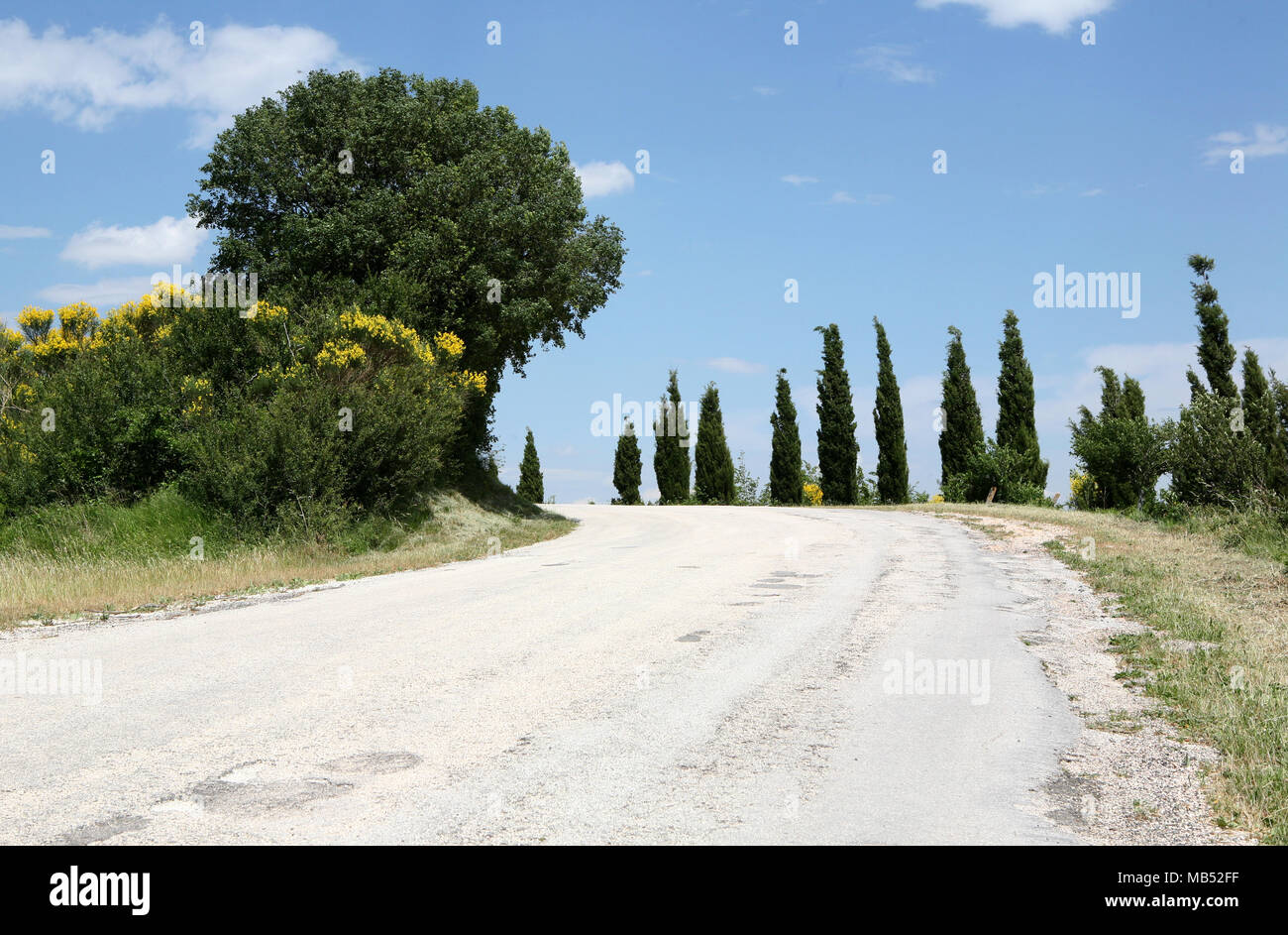 Petite route de montagne avec des cyprès Banque D'Images