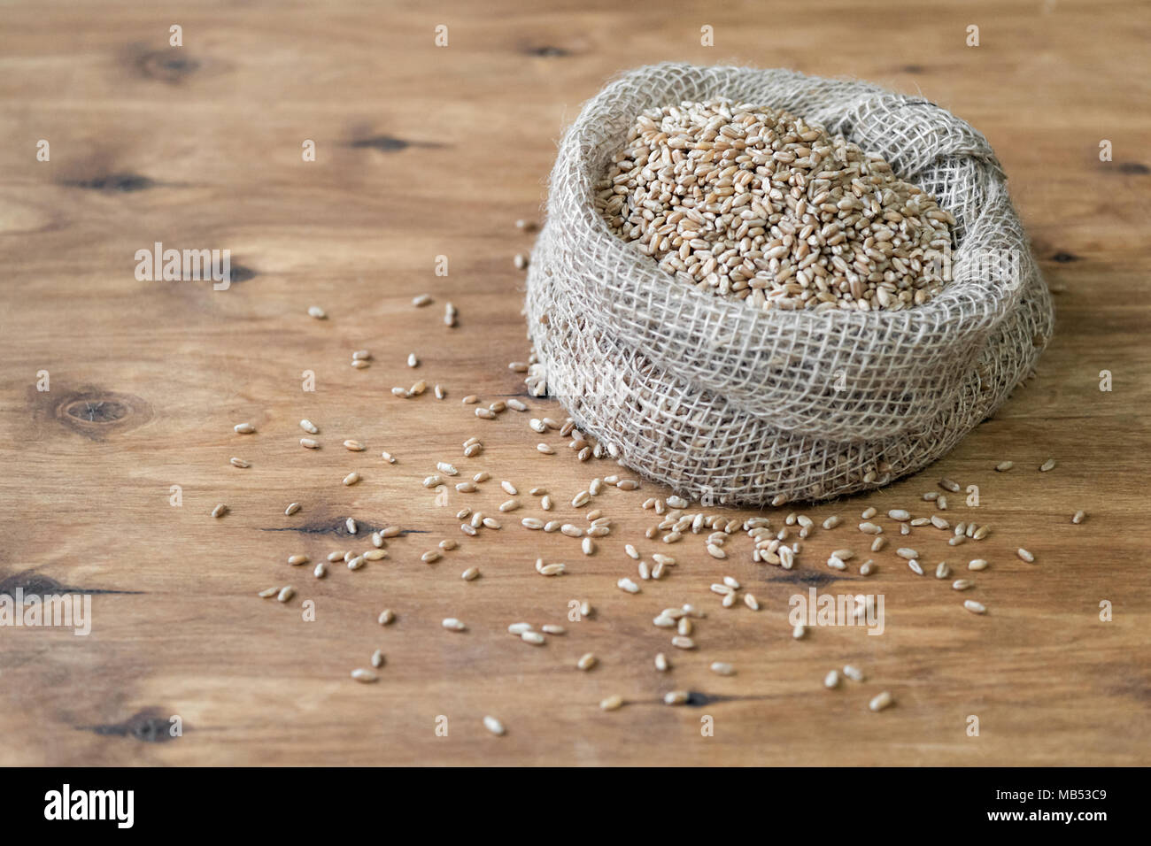Sur la table se trouve un sac de grain. Le blé est dispersé autour de la table. Chasse d'automne. Banque D'Images