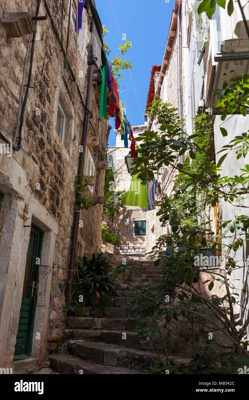 Ulica Zamanjina, une voie dans la vieille ville (Stari Grad), Dubrovnik, Croatie Banque D'Images