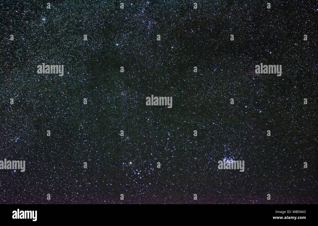 Constellation zodiacale du taureau avec son amas ouverts, Hyades et Pléiades Banque D'Images