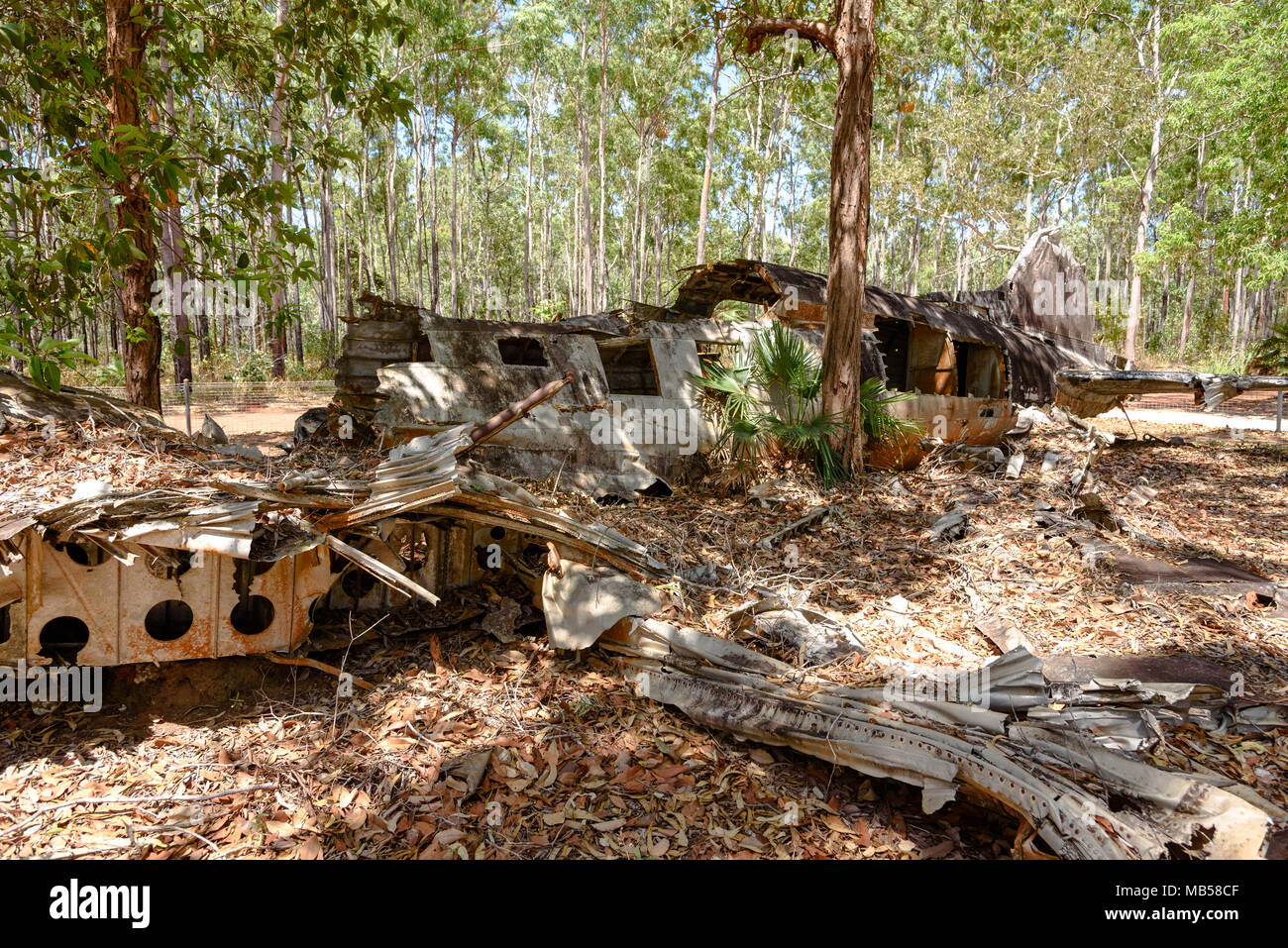 Les restes d'un avion DC-3 épave dans la brousse près de Bamaga, Queensland, Australie Banque D'Images