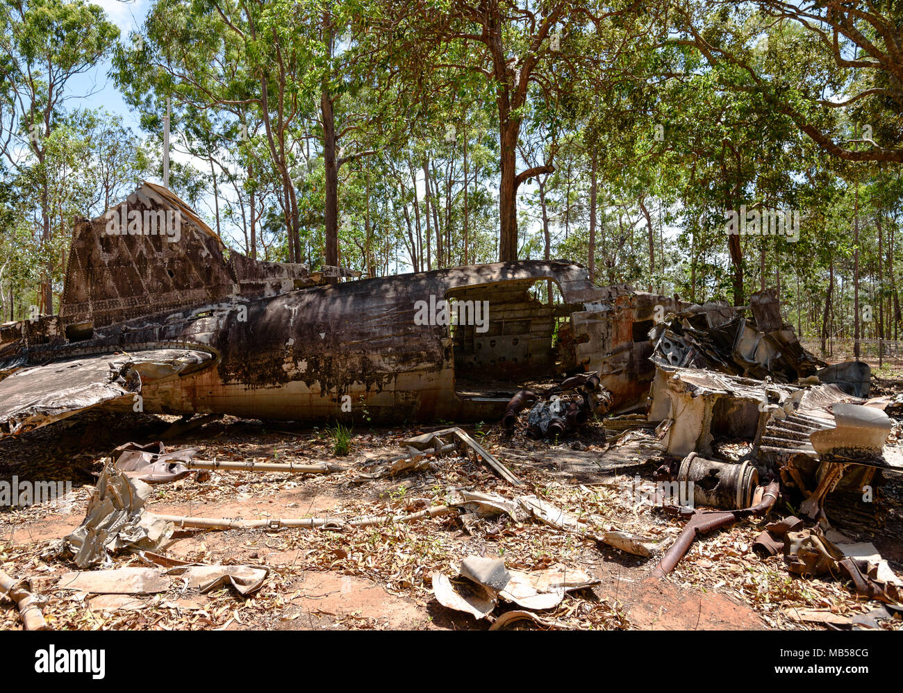 Les restes d'un avion DC-3 épave dans la brousse près de Bamaga, Queensland, Australie Banque D'Images