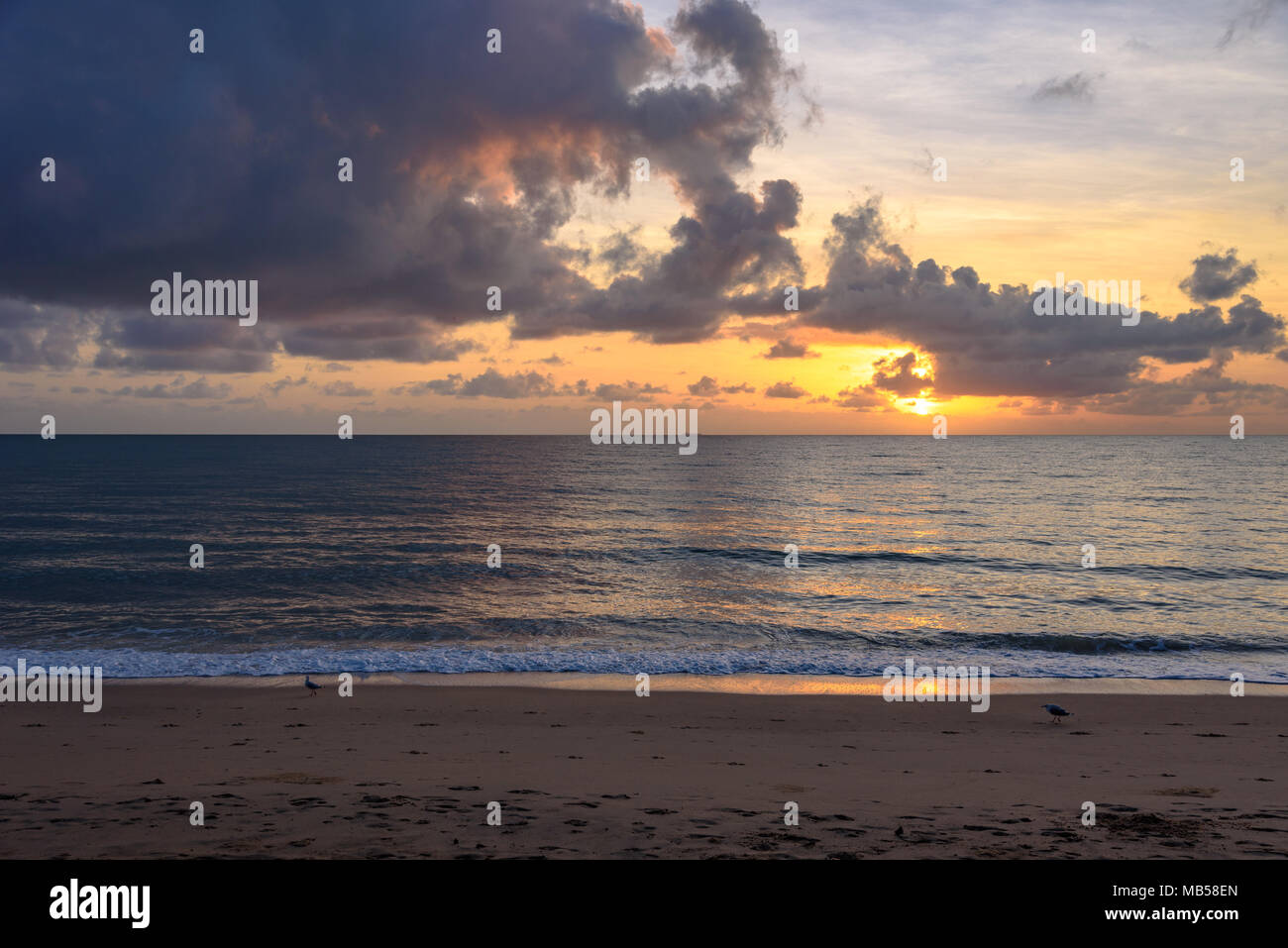 Lever du soleil de la plage sur l'océan Pacifique à partir de Palm Cove, Queensland, Australie Banque D'Images