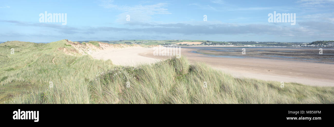 Dunes de sable en été, Devon UK Point Crow Banque D'Images